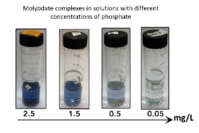 molybdate complexes in solutions with different concentrations of phosphate