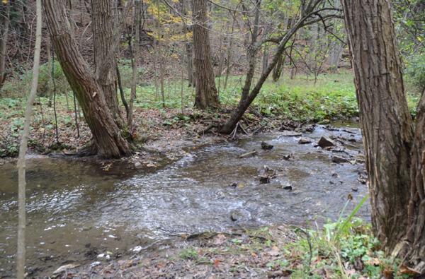 sulphur spring creek
